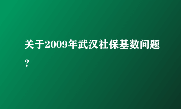 关于2009年武汉社保基数问题？