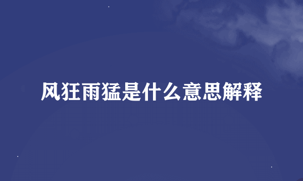 风狂雨猛是什么意思解释