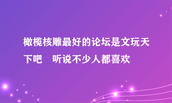 橄榄核雕最好的论坛是文玩天下吧 听说不少人都喜欢