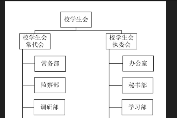 高校学生会组织的章程应包括以下哪些内容?