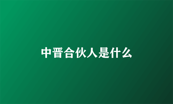 中晋合伙人是什么