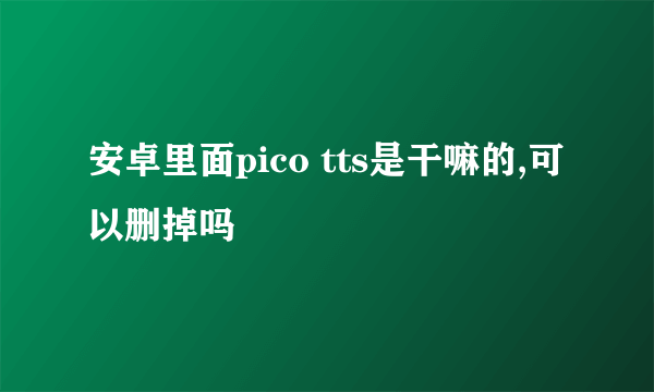 安卓里面pico tts是干嘛的,可以删掉吗