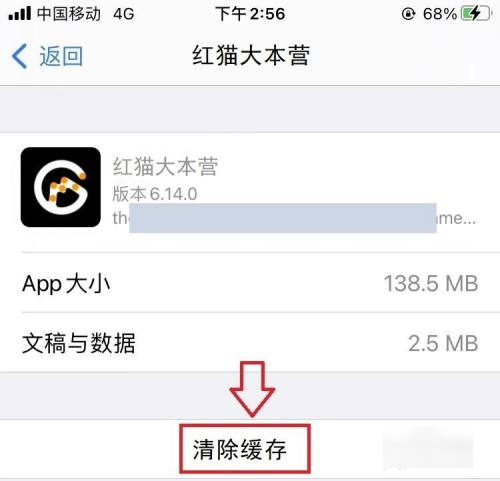 红猫大本营在哪里观看