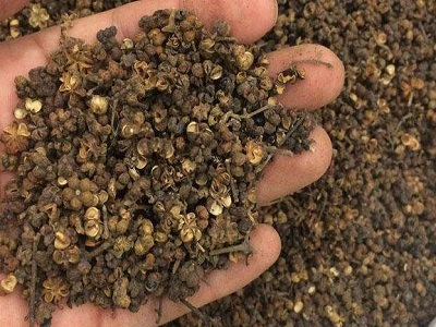 窗前江水泛春色(打一中草药名)