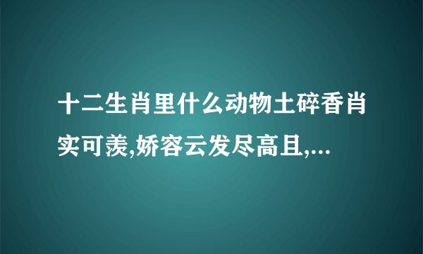 十二生肖里什么动物土碎香肖实可羡,娇容云发尽高且,身怀...