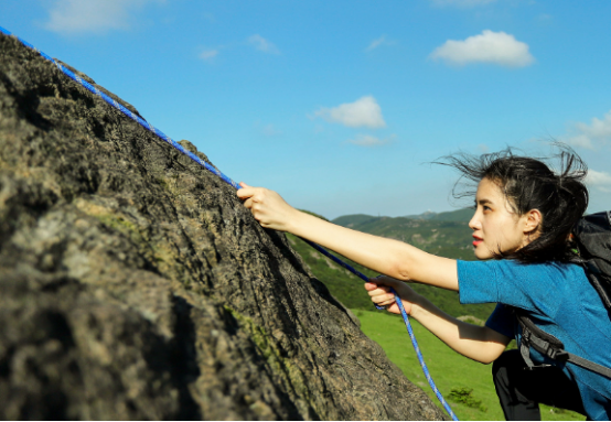 泰山学者是什么级别