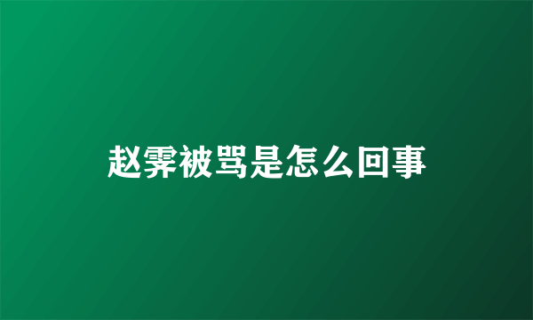 赵霁被骂是怎么回事