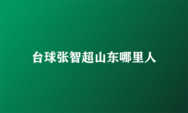 台球张智超山东哪里人