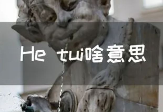 he tui是什么意思？