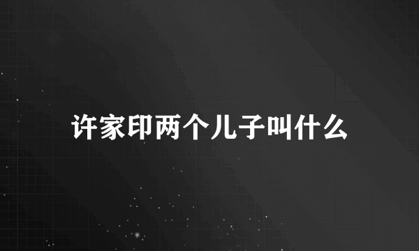 许家印两个儿子叫什么