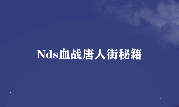 Nds血战唐人街秘籍