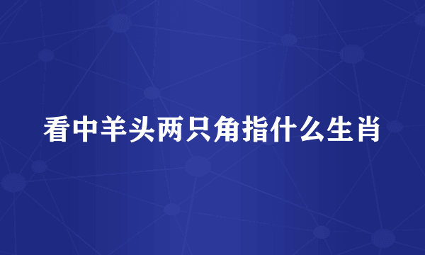 看中羊头两只角指什么生肖