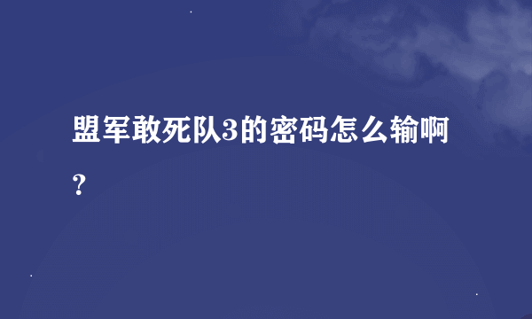 盟军敢死队3的密码怎么输啊？