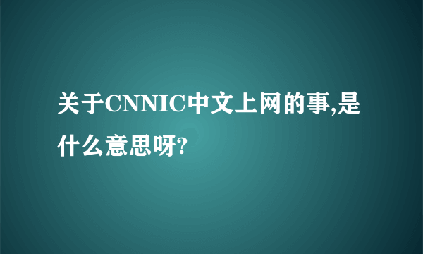 关于CNNIC中文上网的事,是什么意思呀?