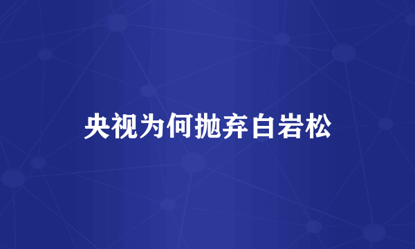 央视为何抛弃白岩松