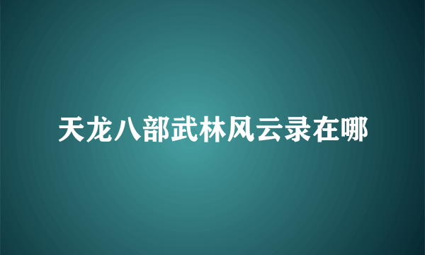 天龙八部武林风云录在哪