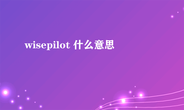wisepilot 什么意思