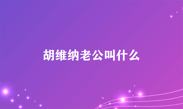 胡维纳老公叫什么
