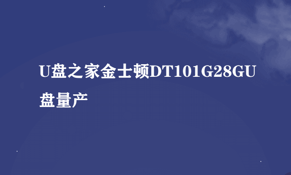 U盘之家金士顿DT101G28GU盘量产