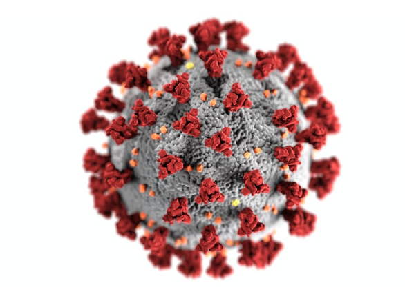 烟台发现奥密克戎BA.2.3进化分支,BA.2.3有什么特点?