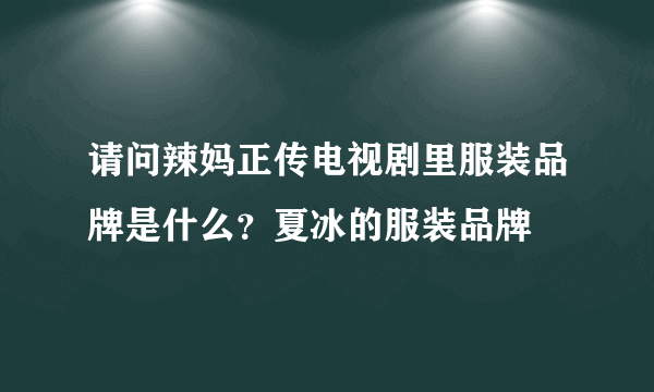 请问辣妈正传电视剧里服装品牌是什么？夏冰的服装品牌