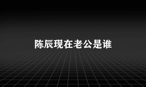 陈辰现在老公是谁