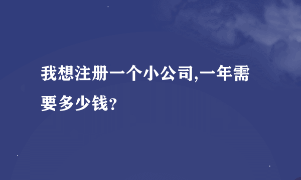 我想注册一个小公司,一年需要多少钱？