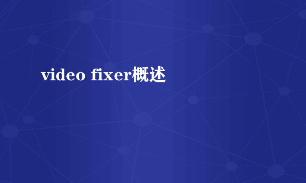 video fixer概述
