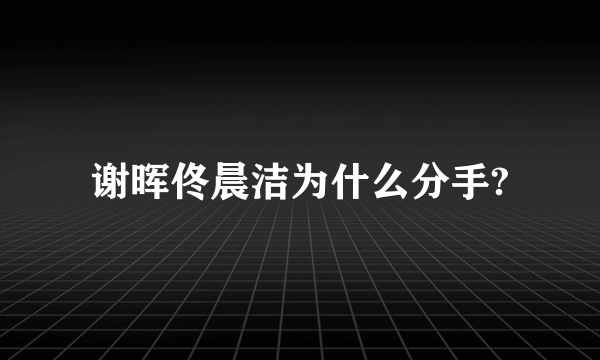谢晖佟晨洁为什么分手?