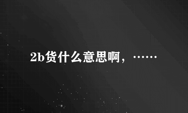 2b货什么意思啊，……