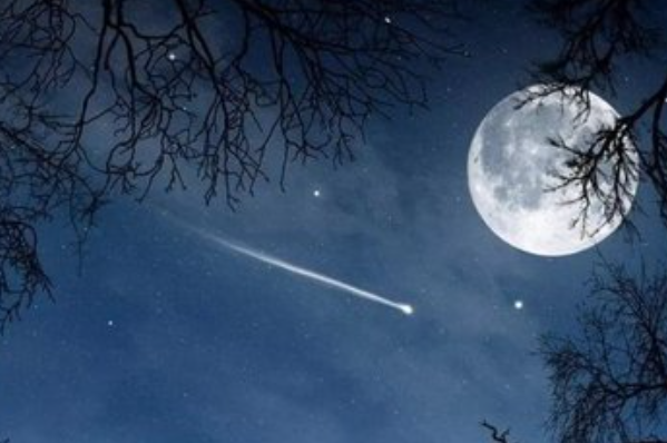 月光下的雪景是什么样的？