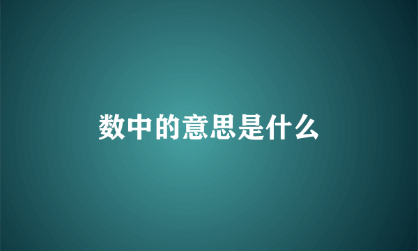 数中的意思是什么