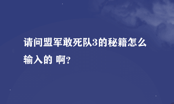 请问盟军敢死队3的秘籍怎么输入的 啊？