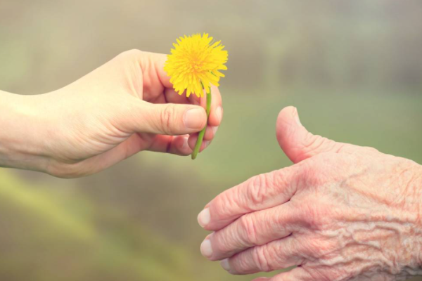 申请入党人的现实表现