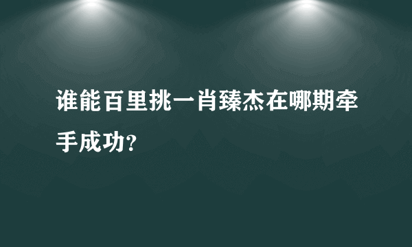谁能百里挑一肖臻杰在哪期牵手成功？