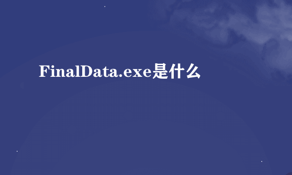 FinalData.exe是什么