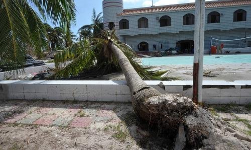 文昌一男子骑车外出,被台风刮倒的椰子树砸中身亡,谁来为他的死负责?