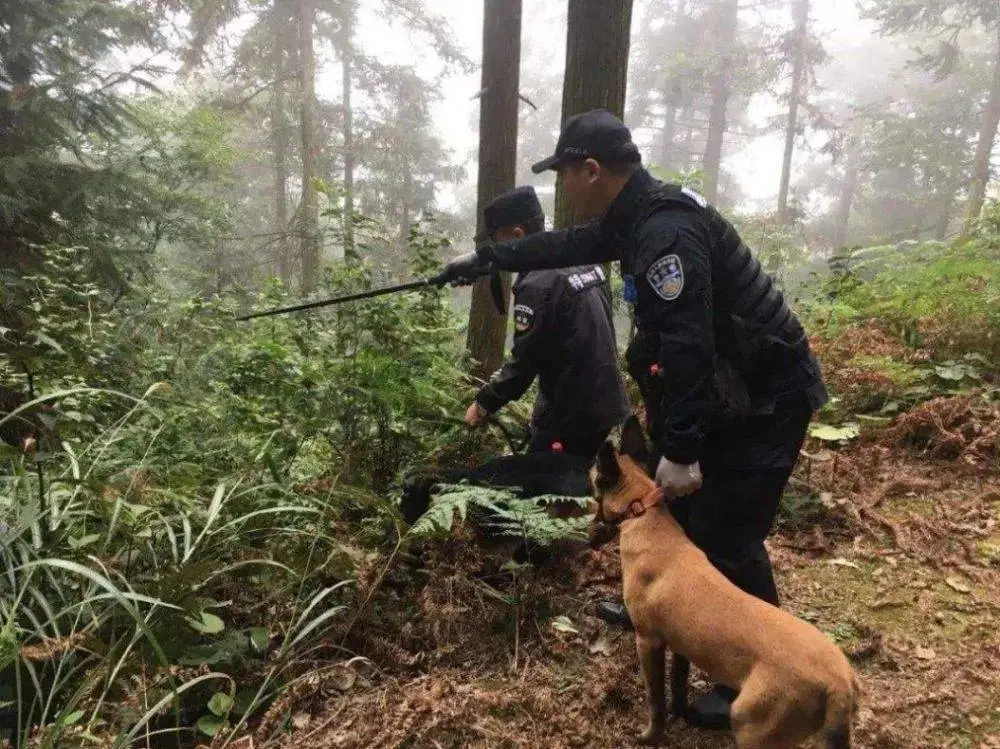 陕西一对双胞胎消失3天3夜警犬锁定废弃窑洞，孩子为何会出现在这？