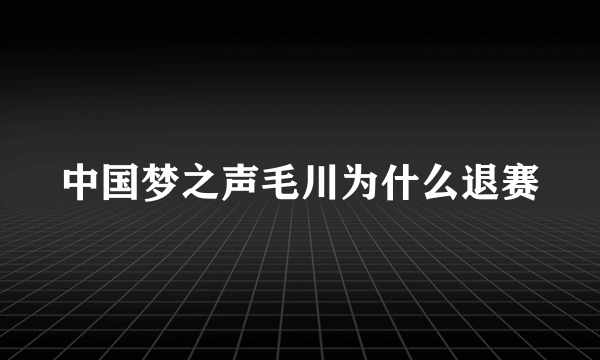 中国梦之声毛川为什么退赛