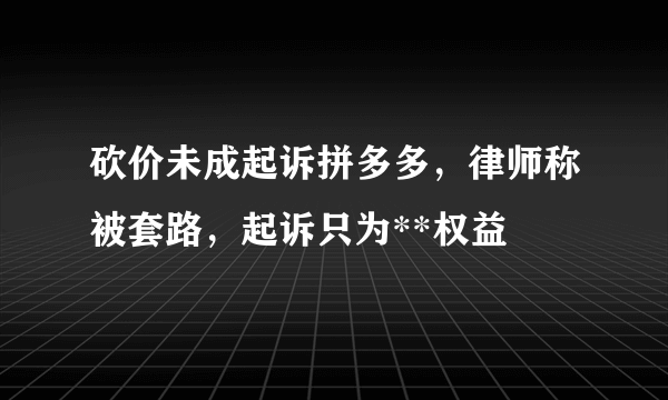 砍价未成起诉拼多多，律师称被套路，起诉只为**权益