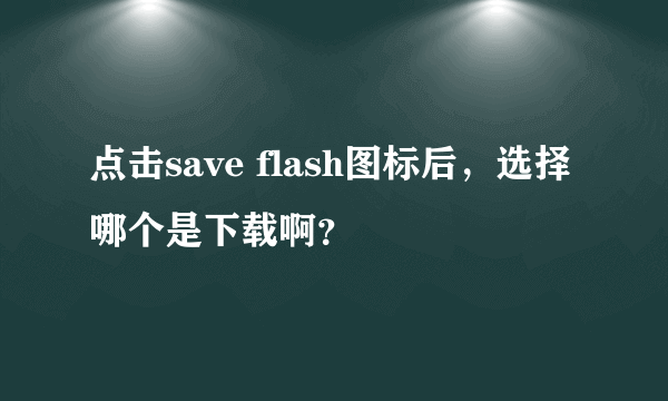 点击save flash图标后，选择哪个是下载啊？