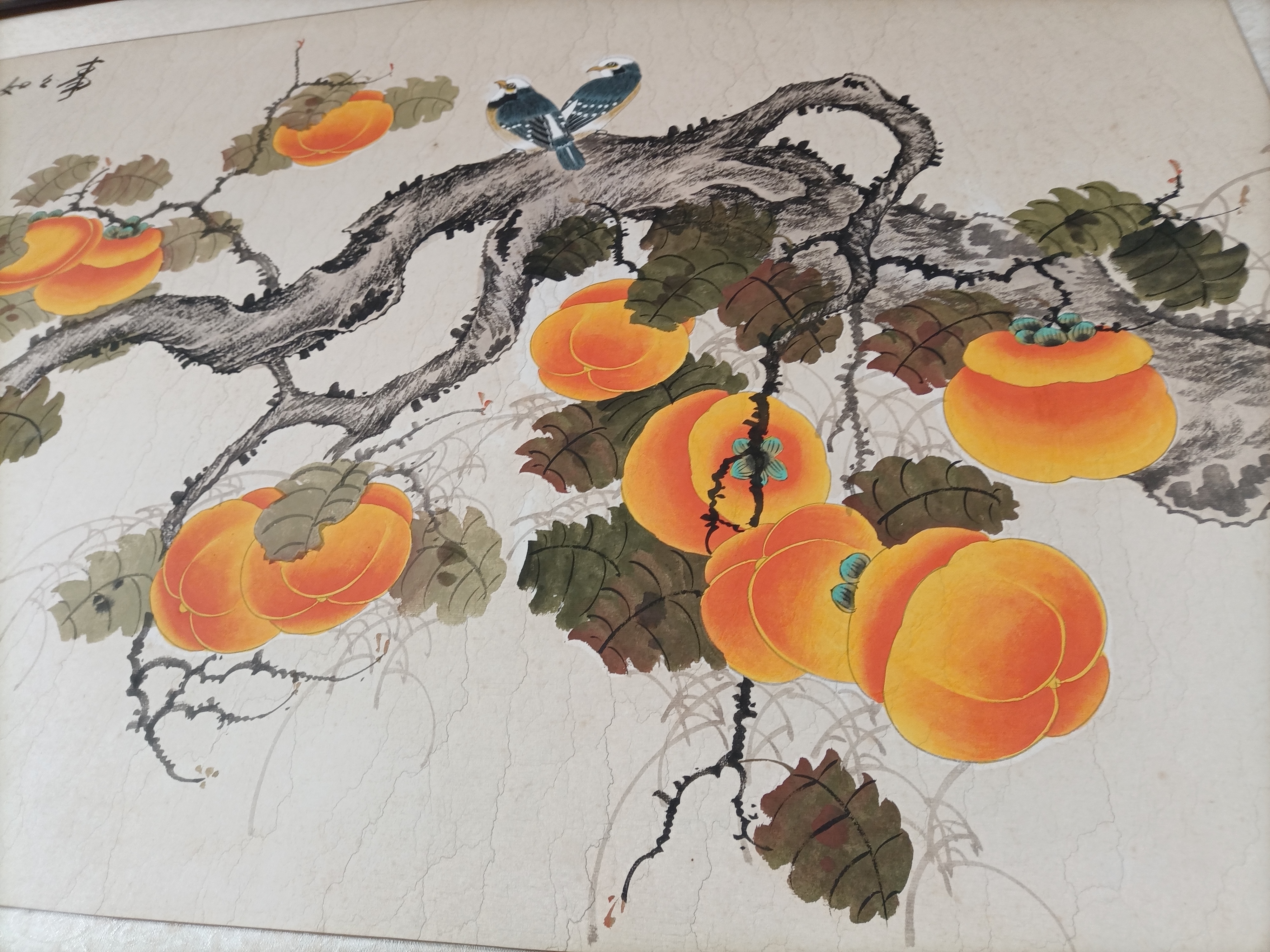 女儿就地过年爸妈寄来了一头羊，这是咋情况？