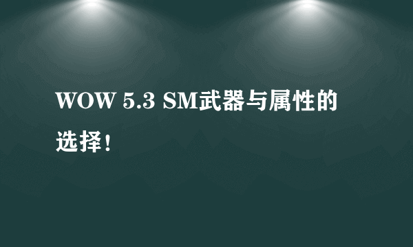 WOW 5.3 SM武器与属性的选择！