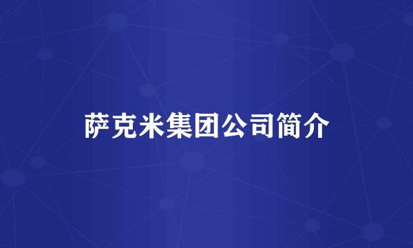 萨克米集团公司简介