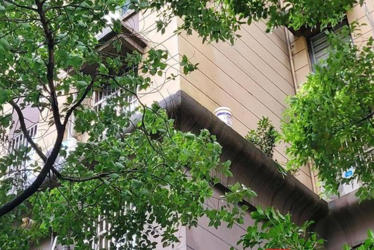 南通男子在楼房腰线处浇花失足坠亡,家属是否可以向物业索赔?