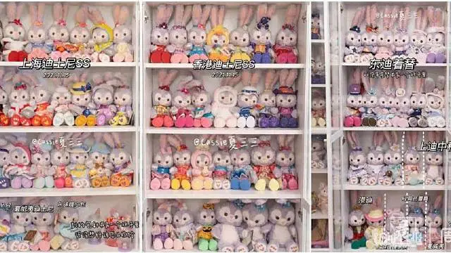 上海95后女生收藏数百只星黛露,她有多喜欢星黛露呢?