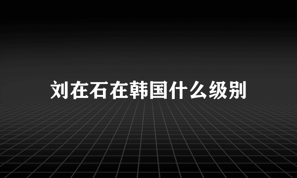 刘在石在韩国什么级别