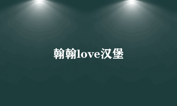 翰翰love汉堡