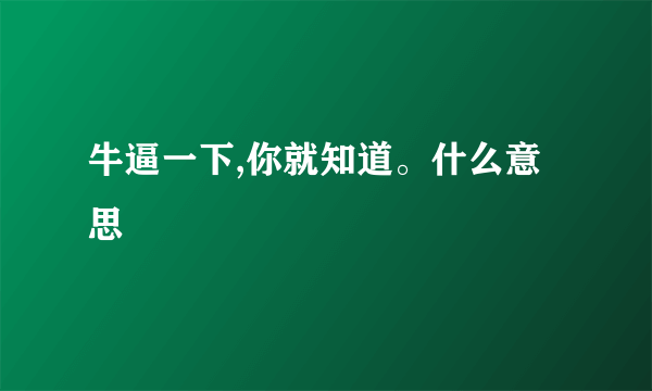 牛逼一下,你就知道。什么意思