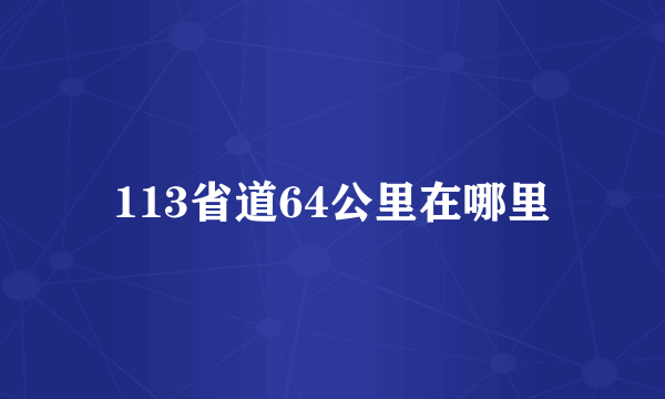 113省道64公里在哪里